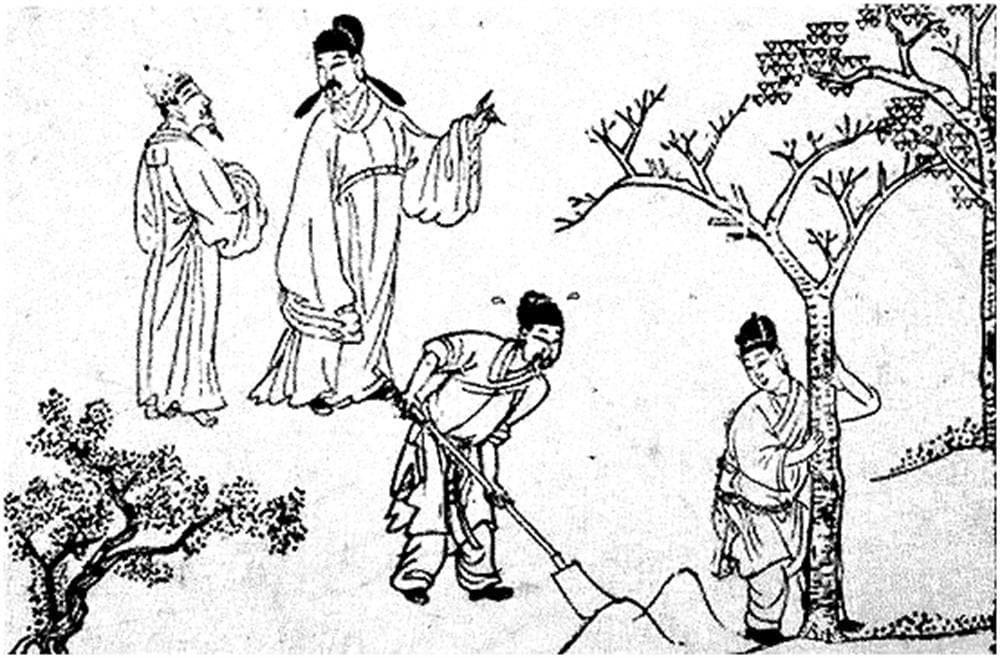 古代植树护树法规及植树节的由来