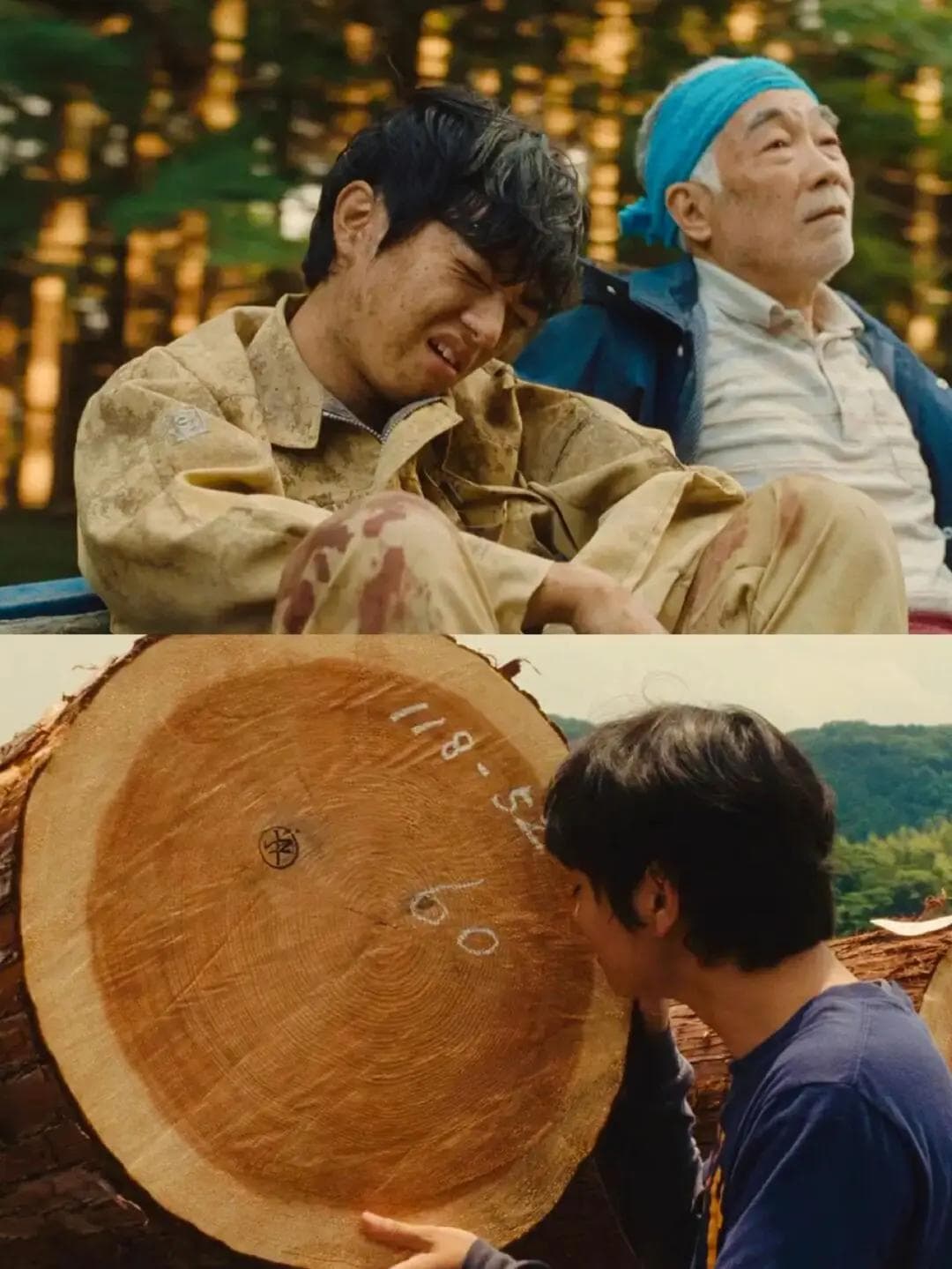 《哪啊哪啊神去村》：一个日本小伙的变形记
