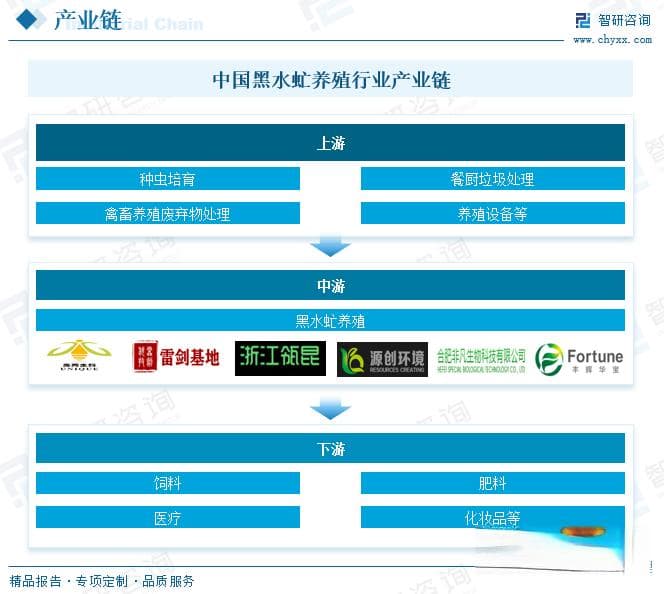 2025年中国黑水虻养殖行业深度分析：产业链、市场规模与发展趋势