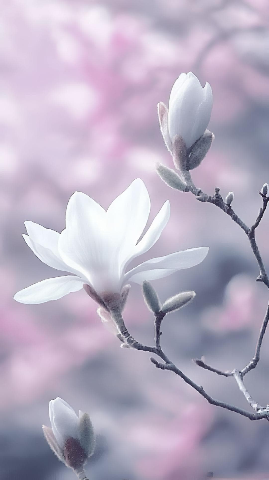 早读：人生有三把钥匙——接受，改变，放下