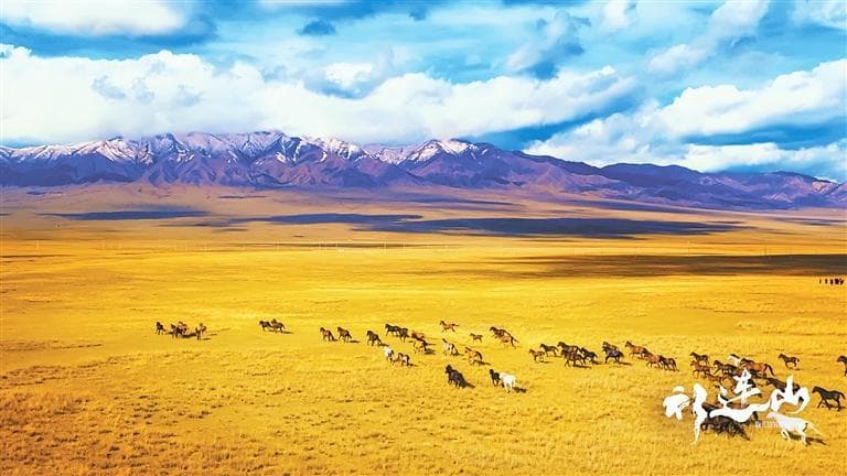 纪录片《祁连山·我们的国家公园》：描绘人与自然和谐共生的画卷