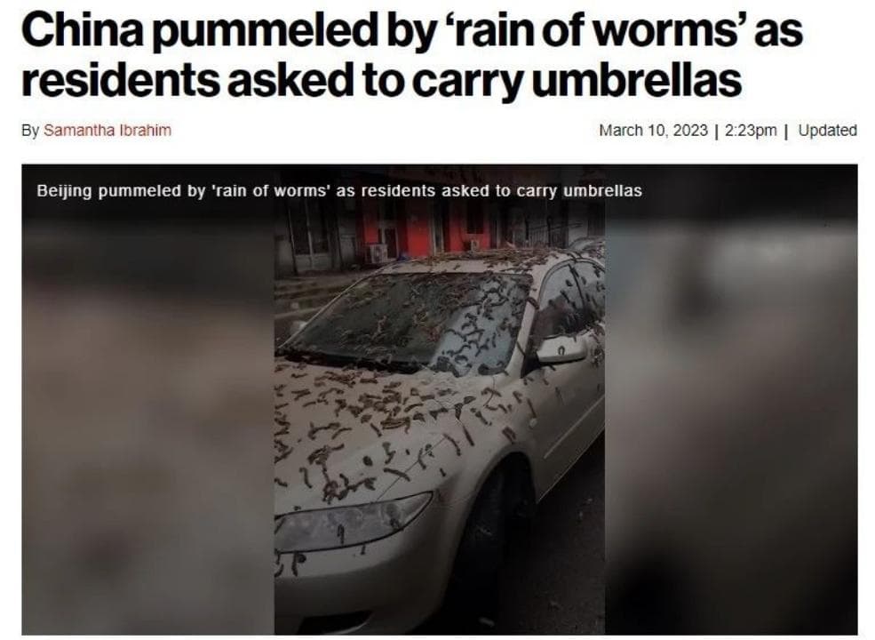 春日来袭，即将天降“毛毛虫雨”？