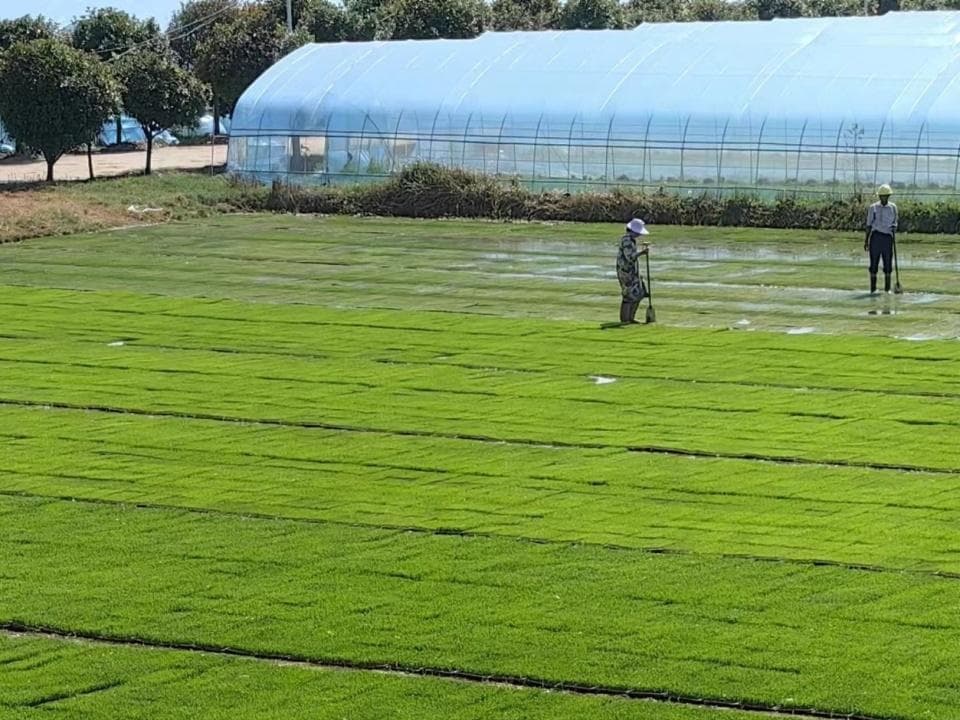 价格大跳水，潜江龙虾如何应对市场波动？记者一线调研：产业链各环节皆有“稳定器”