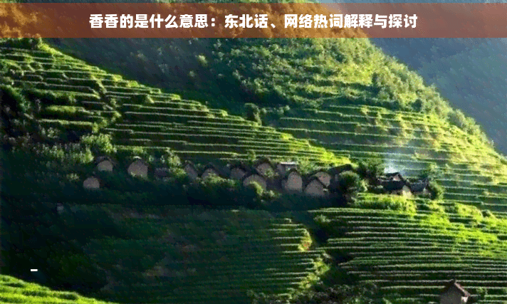 “香香”是什么意思：从东北话到网络热词的演变