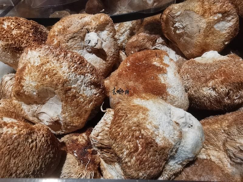 猴头菇营养价值与食用指南：煲汤最佳，但有四大禁忌