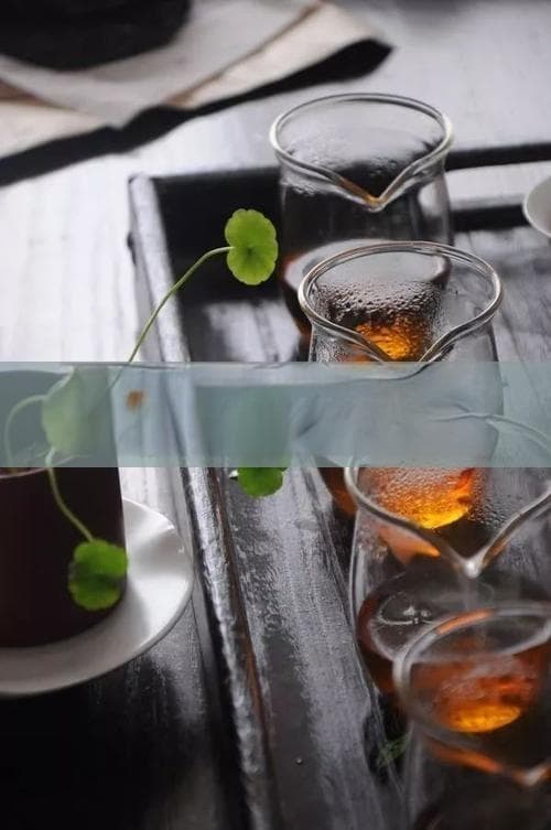 莓茶的养生功效与饮用注意事项