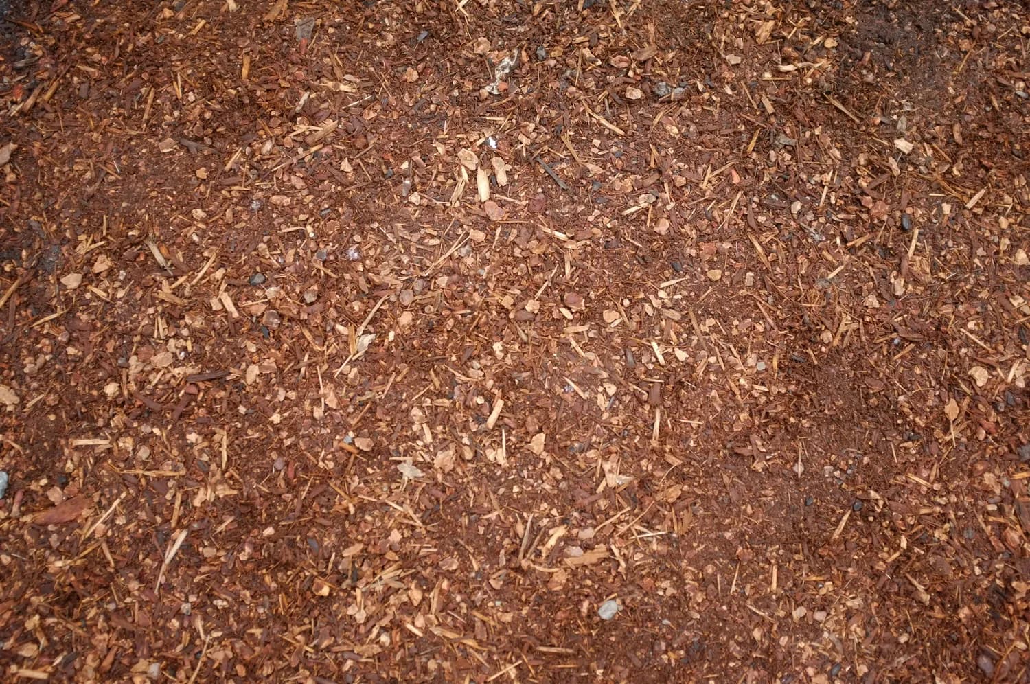 茶麸：家庭驱虫神器，环保又高效
