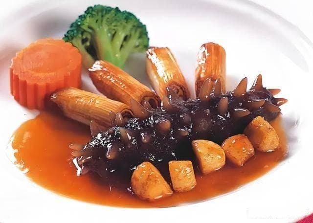 海参如何做才好吃？分享5种做法，营养滋补，配米饭太香了！