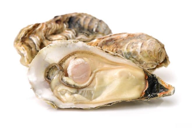生蚝可以冷冻吗？多种方法可以保存！
