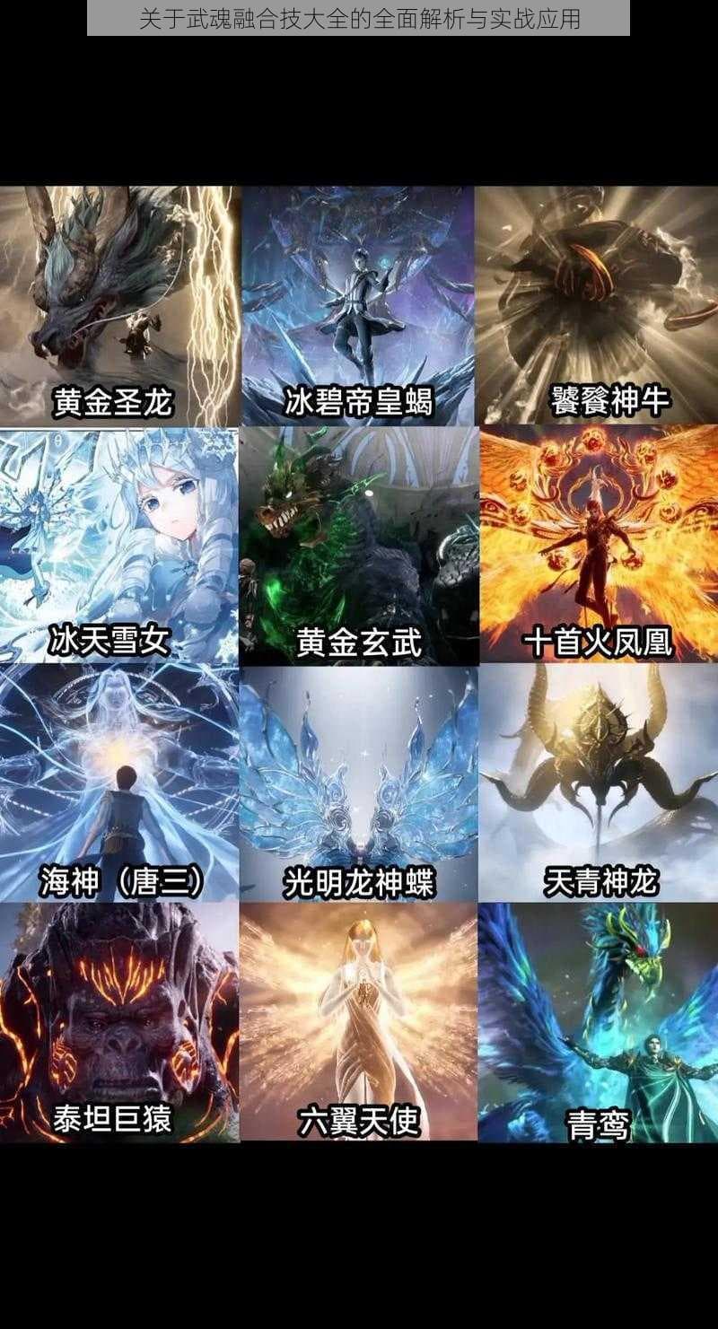 武魂融合技大全：全面解析与实战应用
