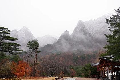 属狗2025年三大喜事：事业、财运与感情全解析
