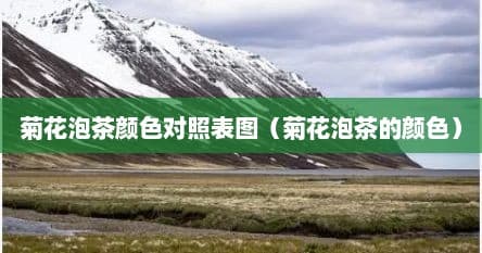菊花泡茶颜色对照表图（菊花泡茶的颜色）