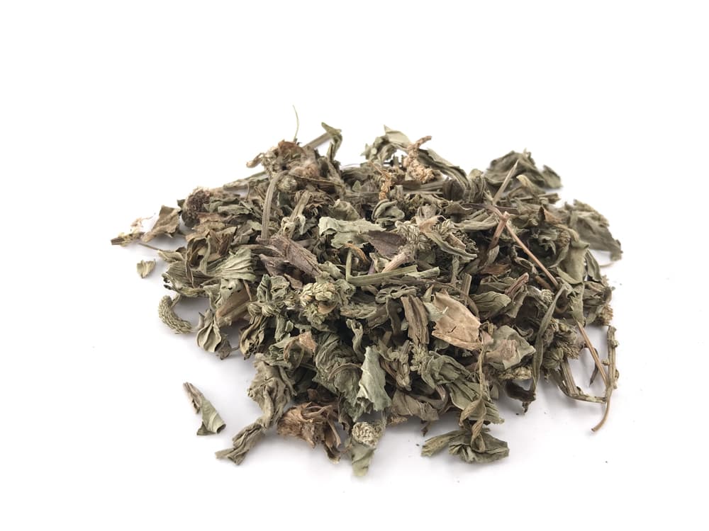 车前草的功效与作用