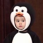 追星有什么意义？如何理解女团选秀、养成系偶像的流行？