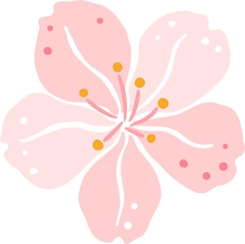 过敏？清华专家教你这样做