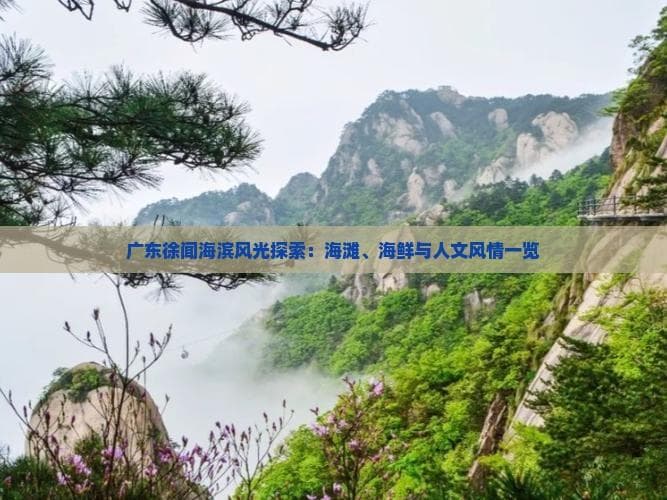 广东徐闻海滨风光探索：海滩、海鲜与人文风情一览
