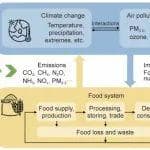 清华大学贺克斌院士团队：食品系统与气候变化、空气污染的相互作用研究综述