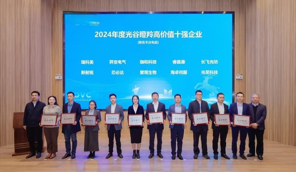 光谷认定瞪羚企业549家，30%以上是新增，产业分布与科创板高度一致