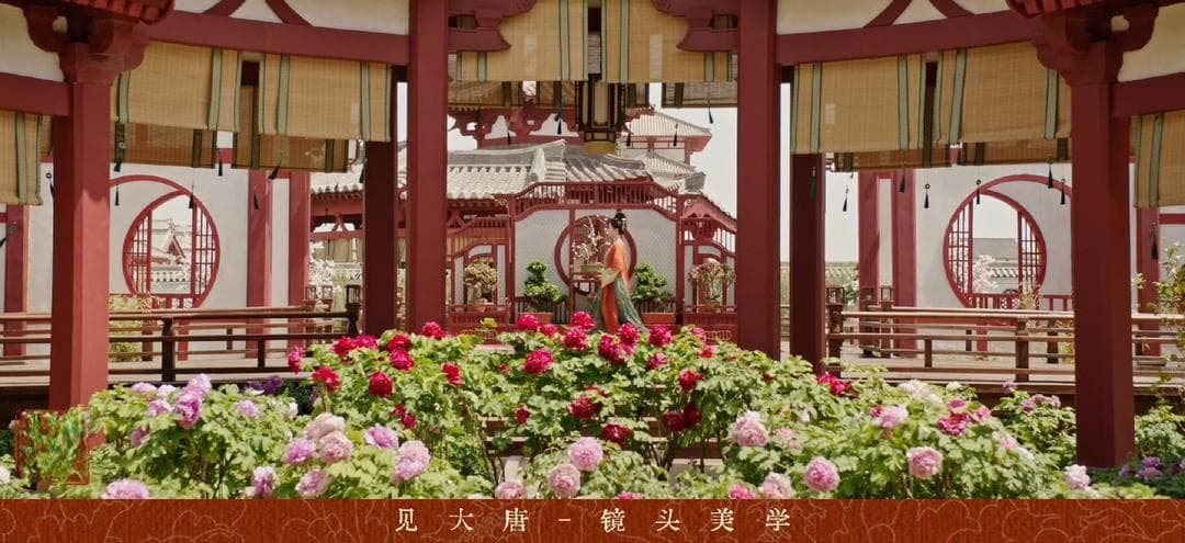 《国色芳华》：一部牡丹文化剧带动一个产业