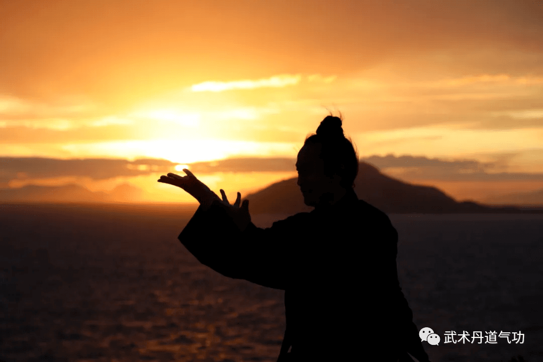 传统武术掌法精功：内功篇、外功篇、绝技篇