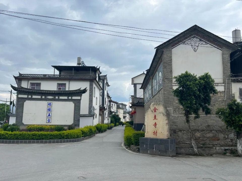 指尖上的绝活：温暖千年的羊毛毡