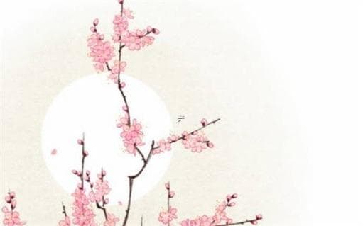 专论女命八字：八字中女命的解析与特点