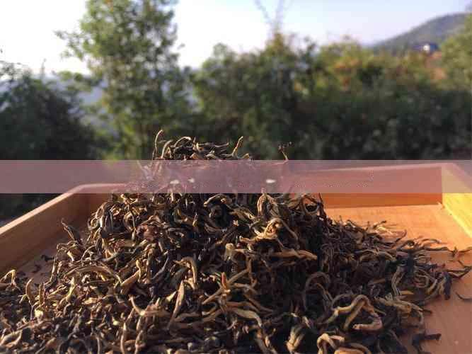 苍洱沱茶是生茶吗？怎么泡？其特点与功效详解