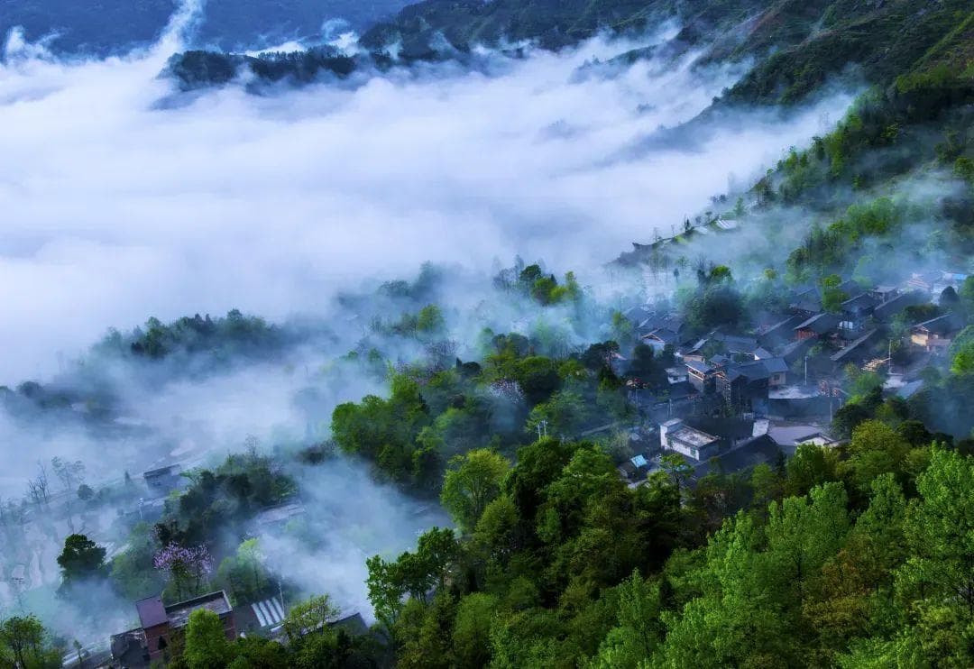 好"土货"何以出山？重庆酉阳用"气象密码"打开"海拔经济"！