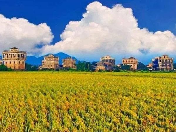 台山市：以农文旅融合推动乡村高质量发展