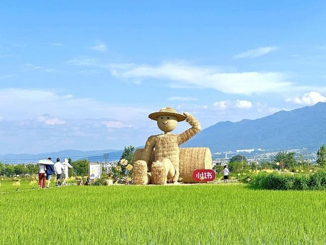 大理——重回“一倍速”享受慢生活