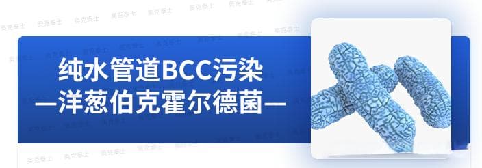 洋葱伯克霍尔德菌污染药厂纯水系统，新型消毒技术攻克顽疾