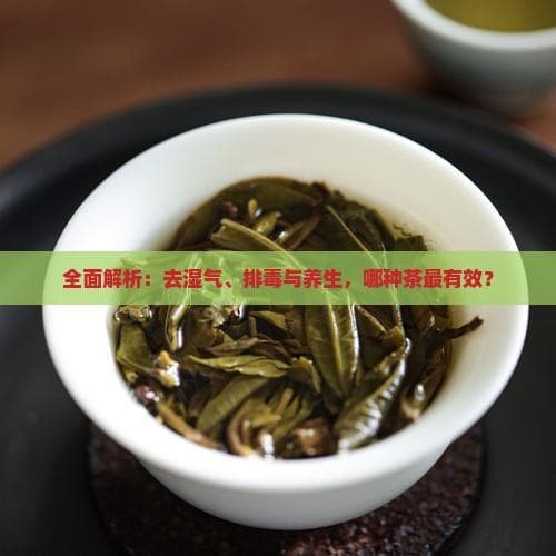 全面解析：去湿气、排与养生，哪种茶最有效？