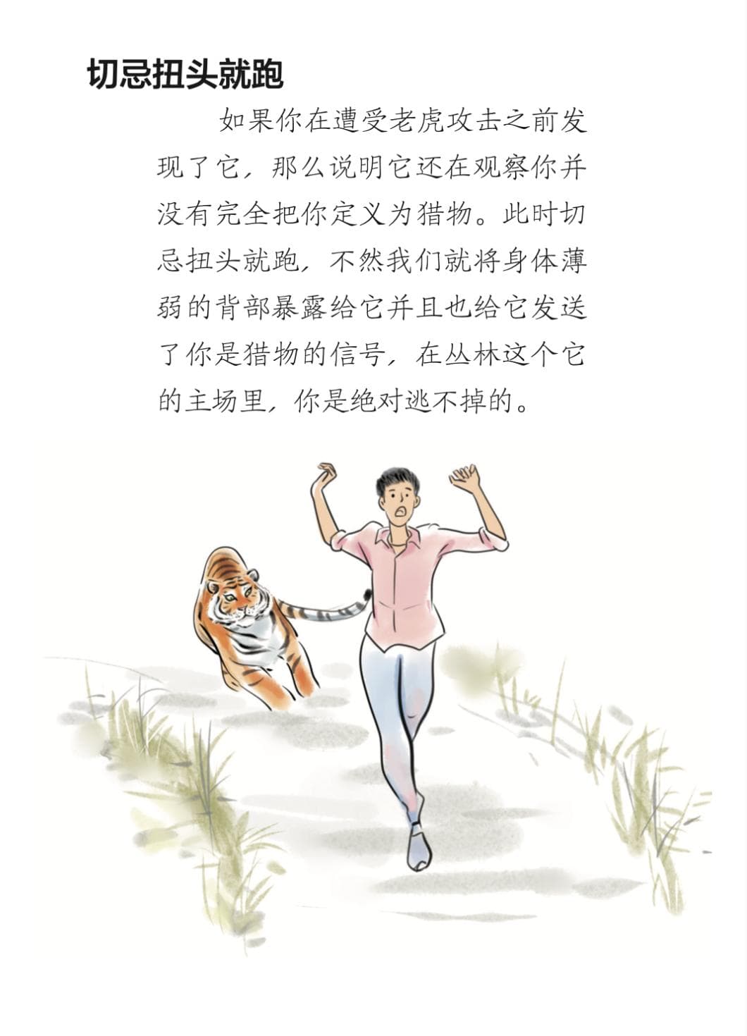 老虎为何进村伤人？遇到老虎该怎么办？| 应急科普