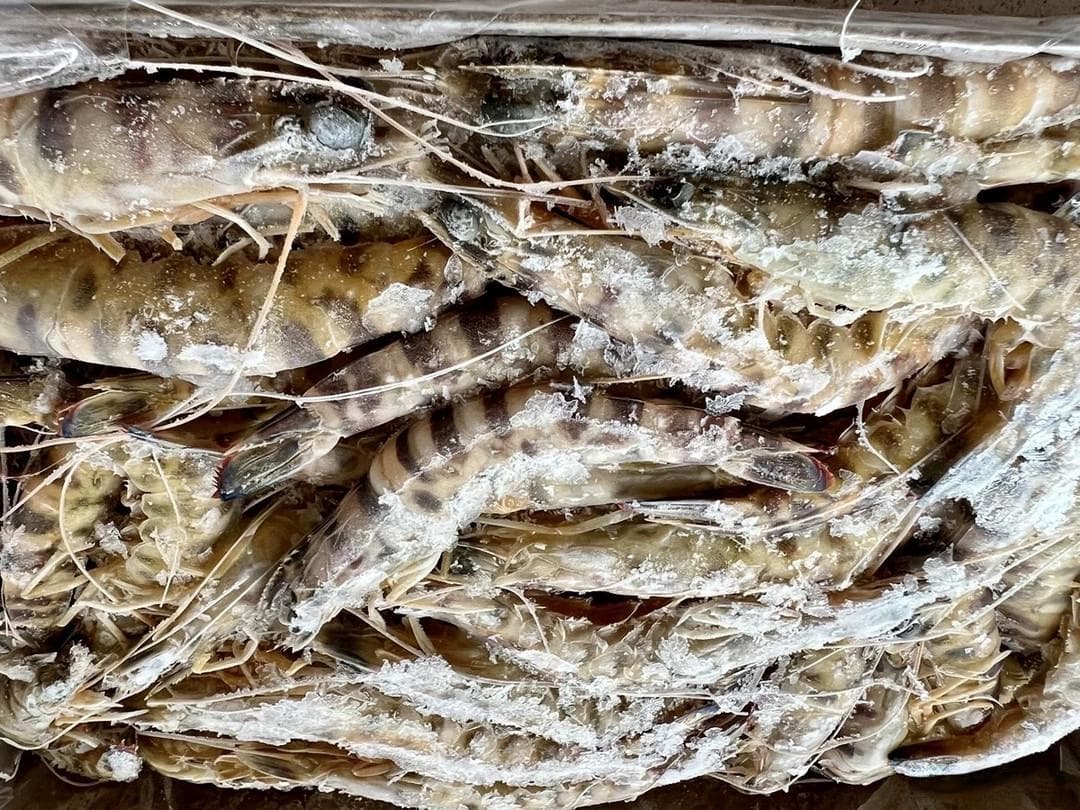 高蛋白低脂又美味：九节虾等大虾烹饪全攻略