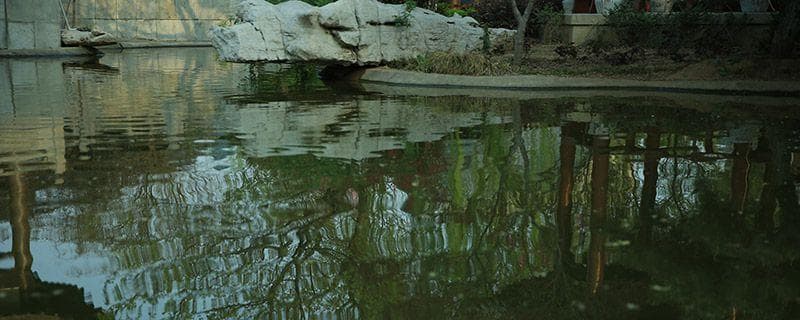 养马岛旅游攻略：景点介绍与游玩建议