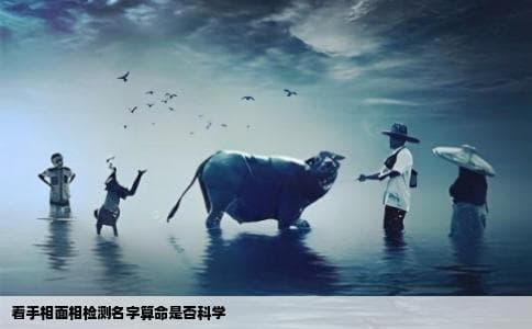 看手相面相检测名字算命这些有根据吗是科学的吗