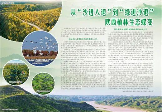 从“沙进人退”到“绿进沙退”：陕西榆林的生态蝶变