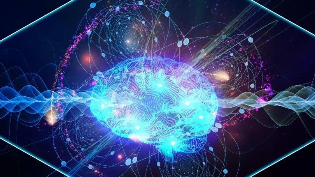 通往大脑量子计算：大脑中量子纠缠的来源