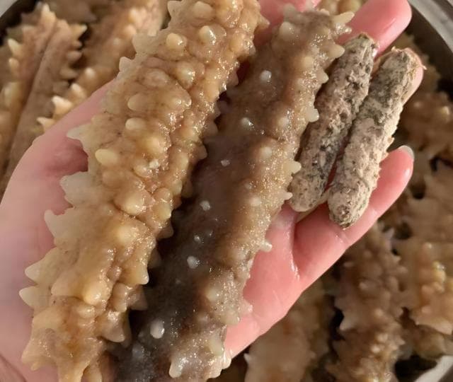 三步教你处理海参：从海边到餐桌的美味蜕变
