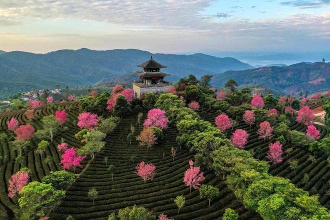 季节选对，风景加倍，花海雪山同在，云南冬天值得看的7大景观