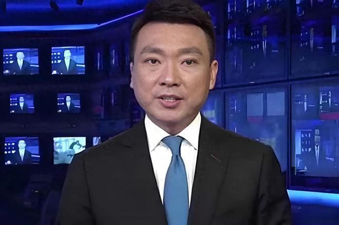 康辉：差点被偷换人生的央视主播