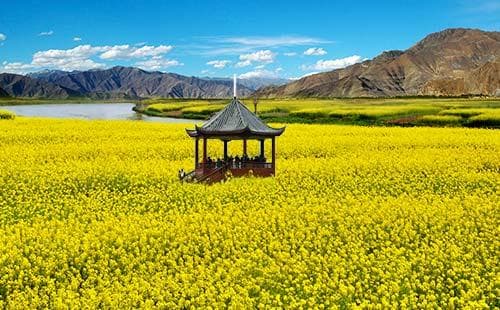 重庆潼南油菜花景区游玩攻略