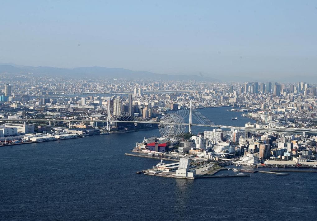 日本大阪府部分水体严重污染 约三成受检者血检异常
