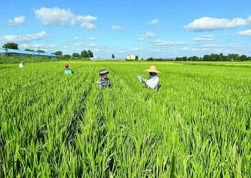 全球首创绿色农药的20年征程