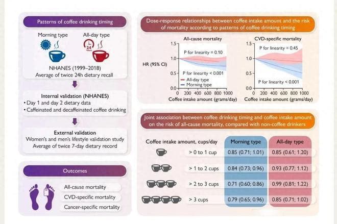 咖啡保护心脏再实锤！新研究：这个时间喝，死亡风险降低44%！