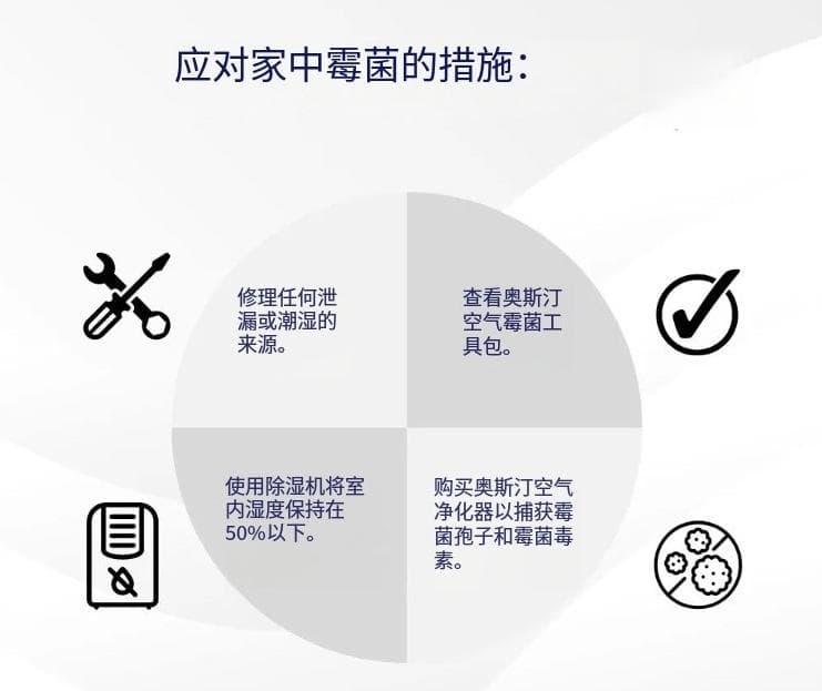 发现家中的“脏空气”并提出解决方案