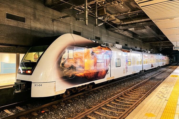 吉隆坡国际机场到市区交通指南：哪种方式最快、最便宜？