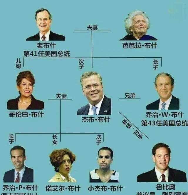 布什家族：从商业到政治的跨越