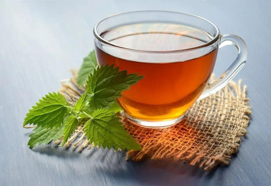 研究证实：绿茶活性成分EGCG可改善脂肪肝