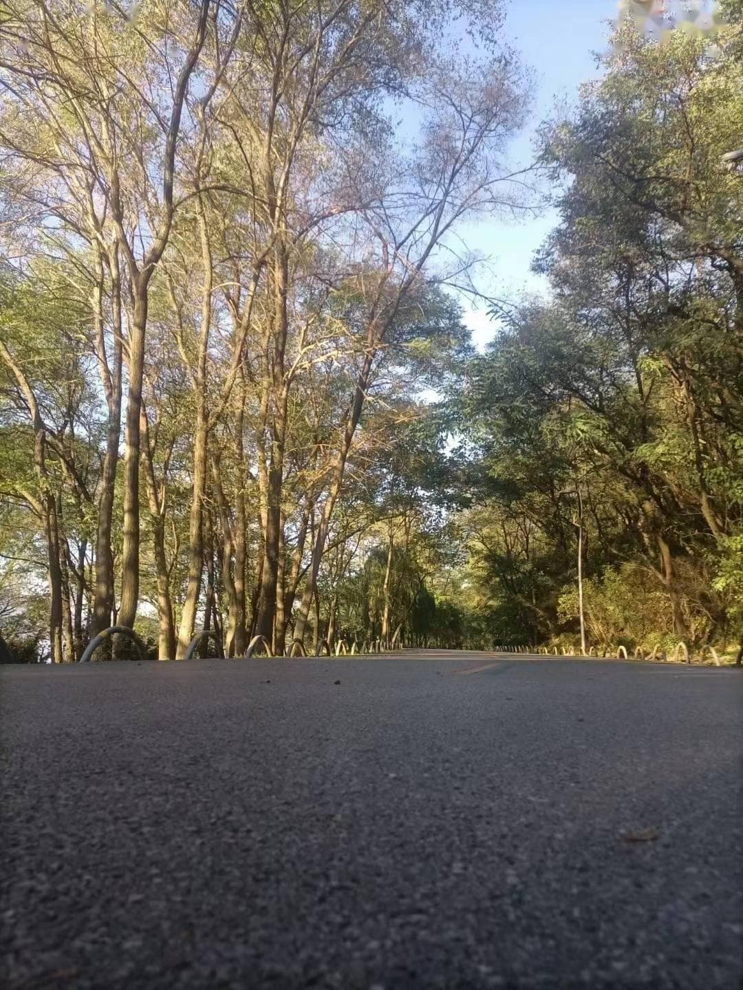 混动车型省油又省钱，值不值得买？业内人士全面分析混动车优缺点